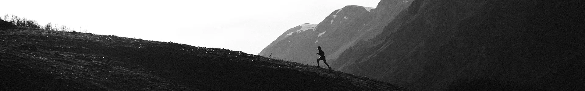 Header Ventour