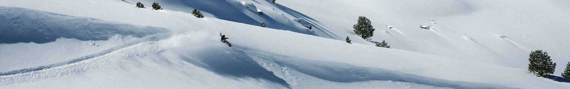 Header Ventour